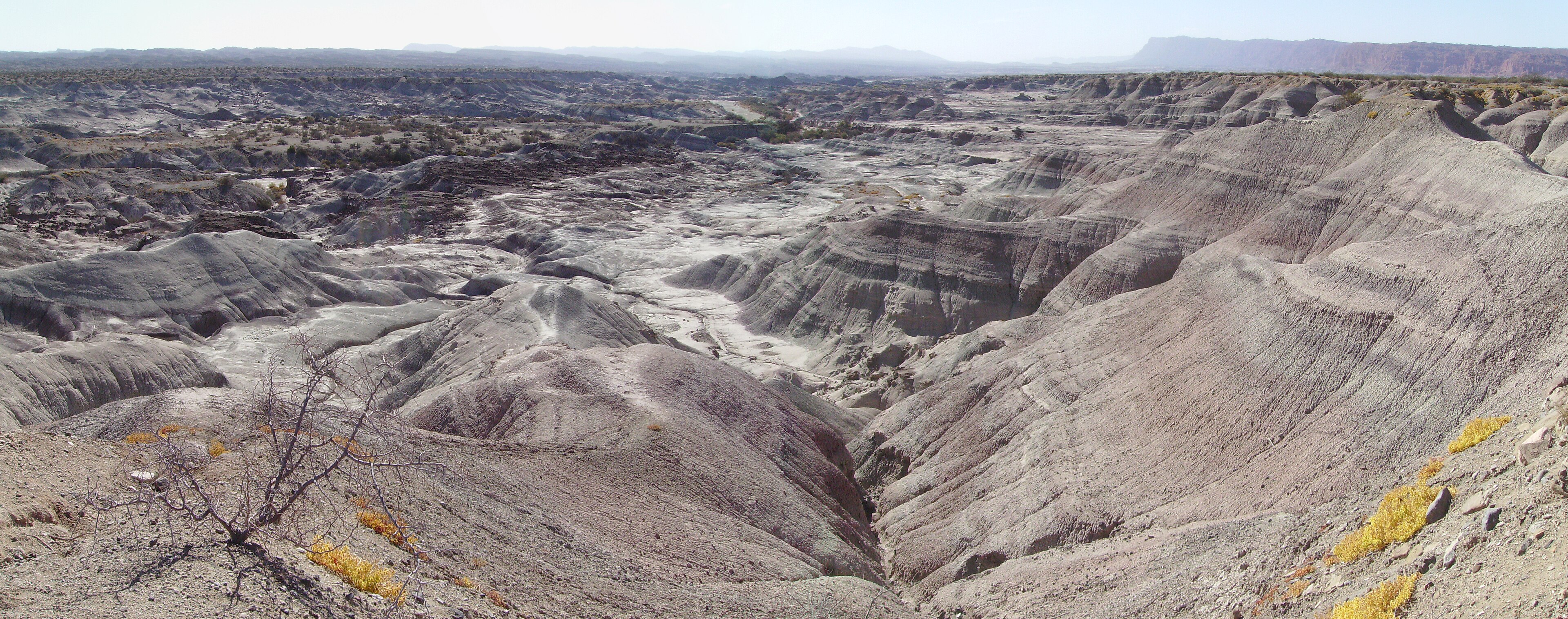 Ischigualasto