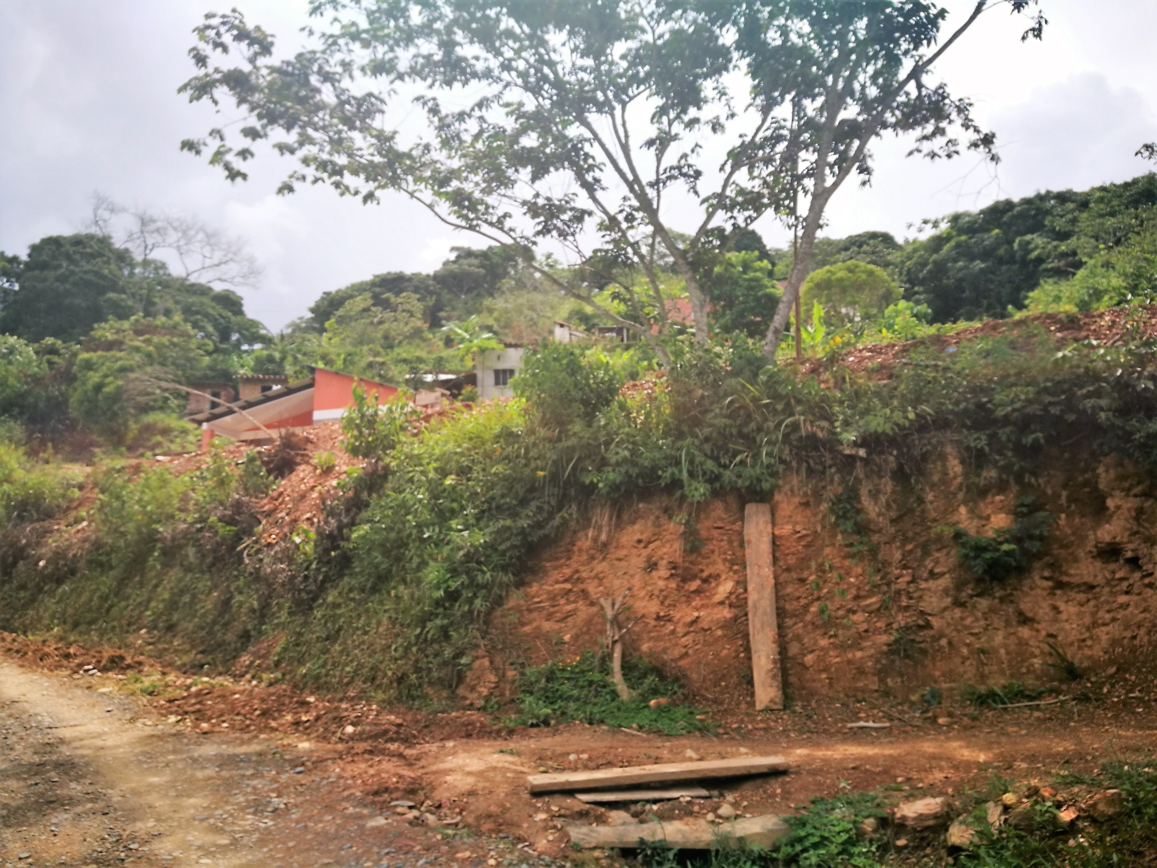 Tocaña