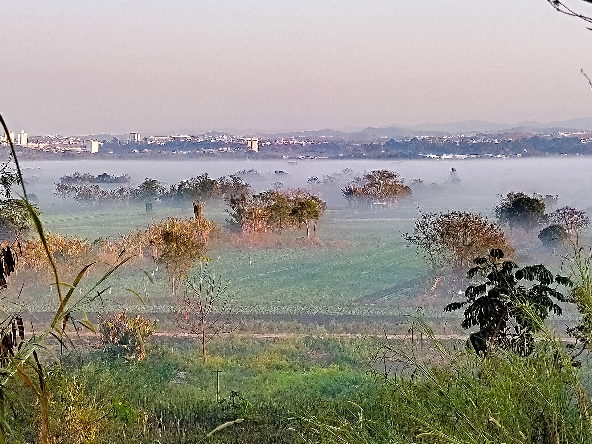 São José dos Campos