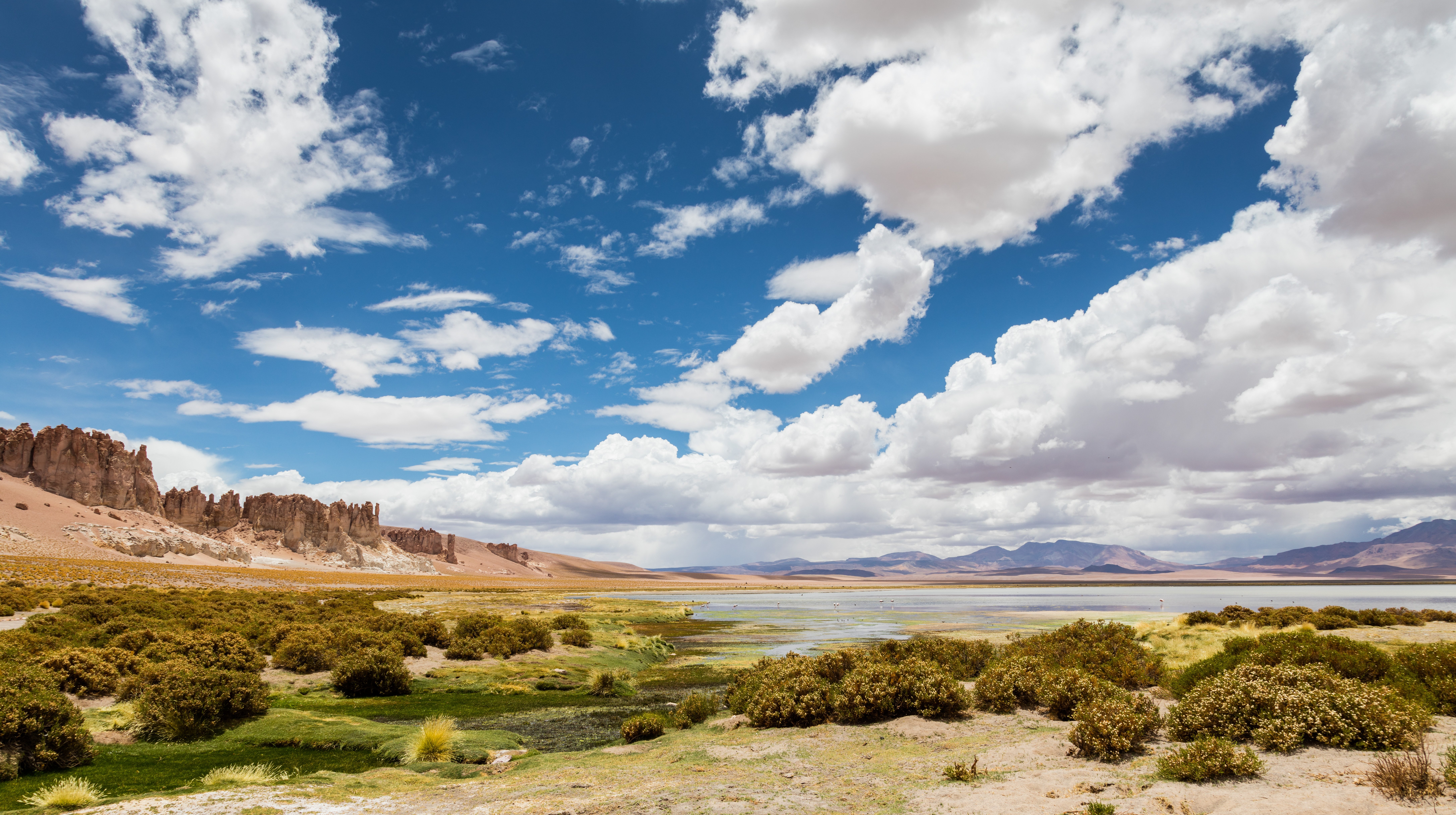 Atacama Desert