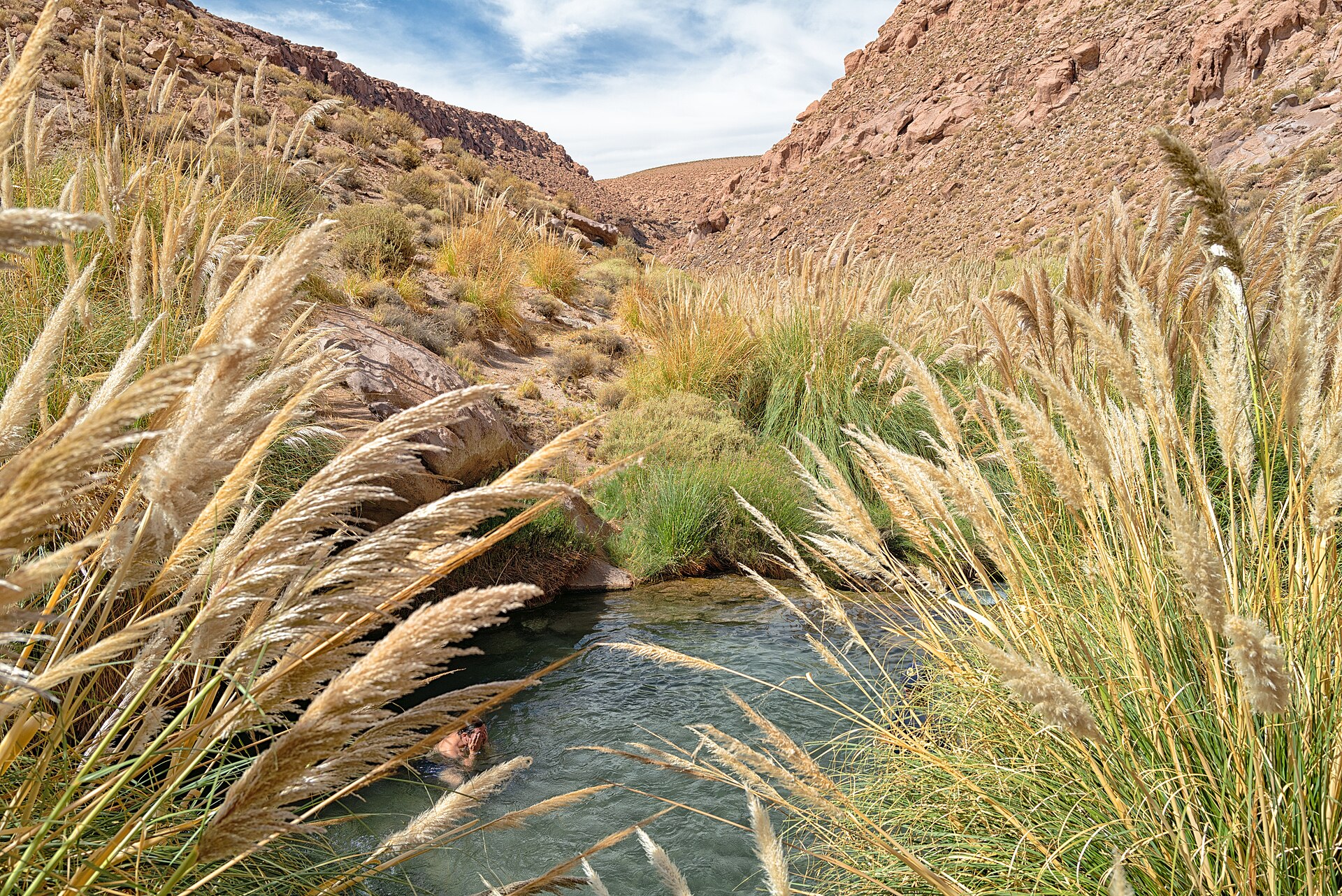 Termas de Puritama