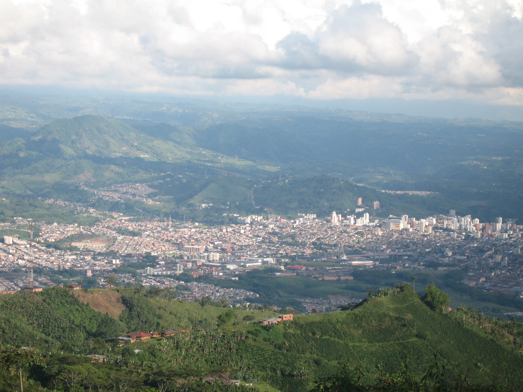 Pereira