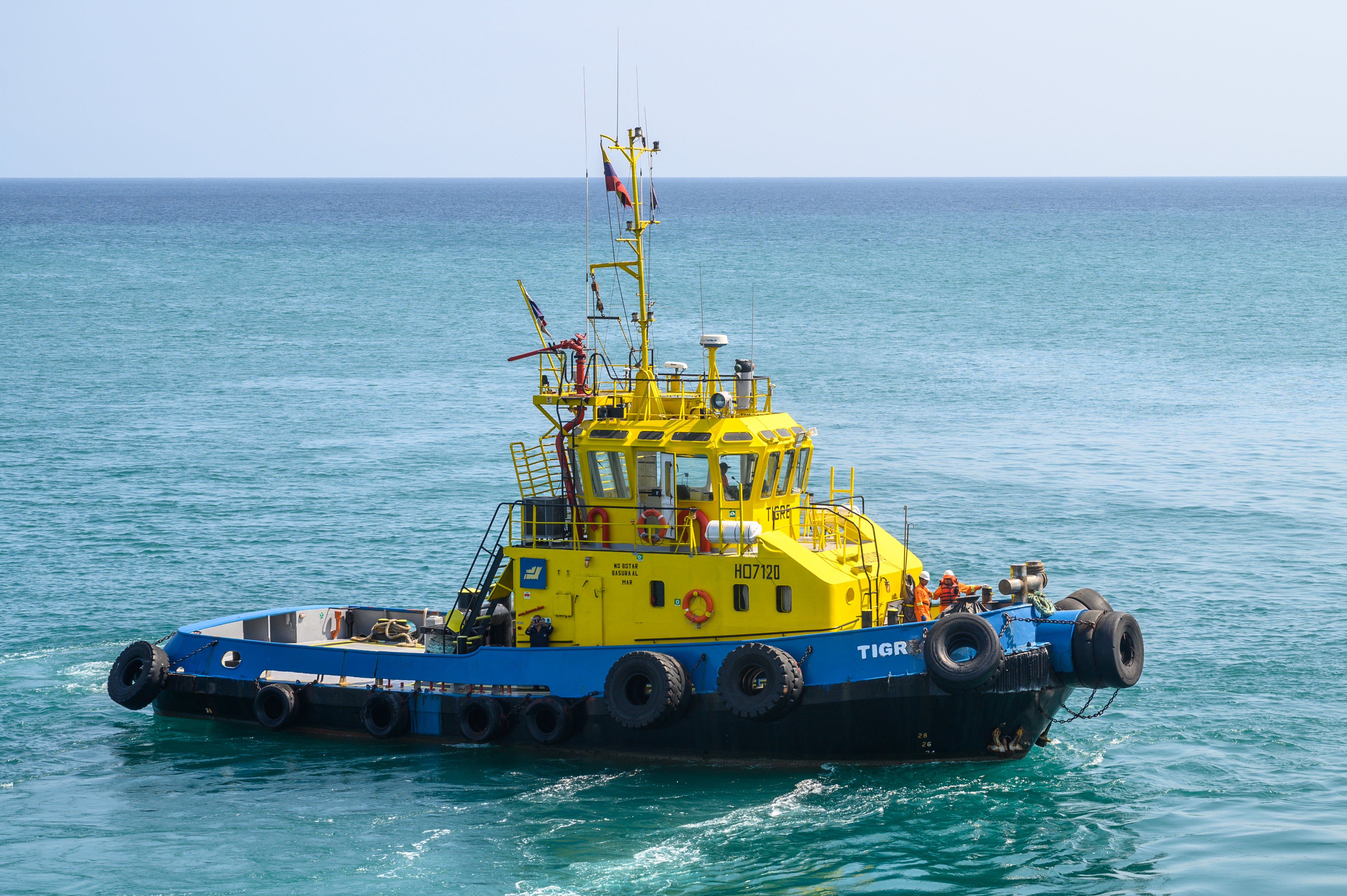 Manta