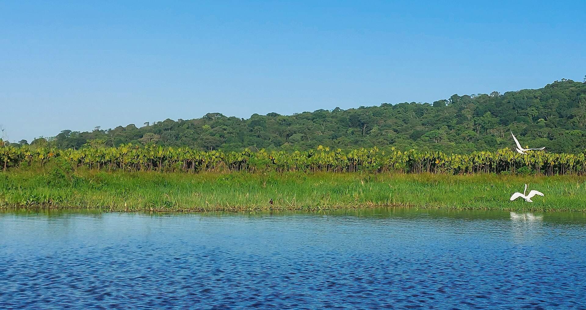 Marais de Kaw