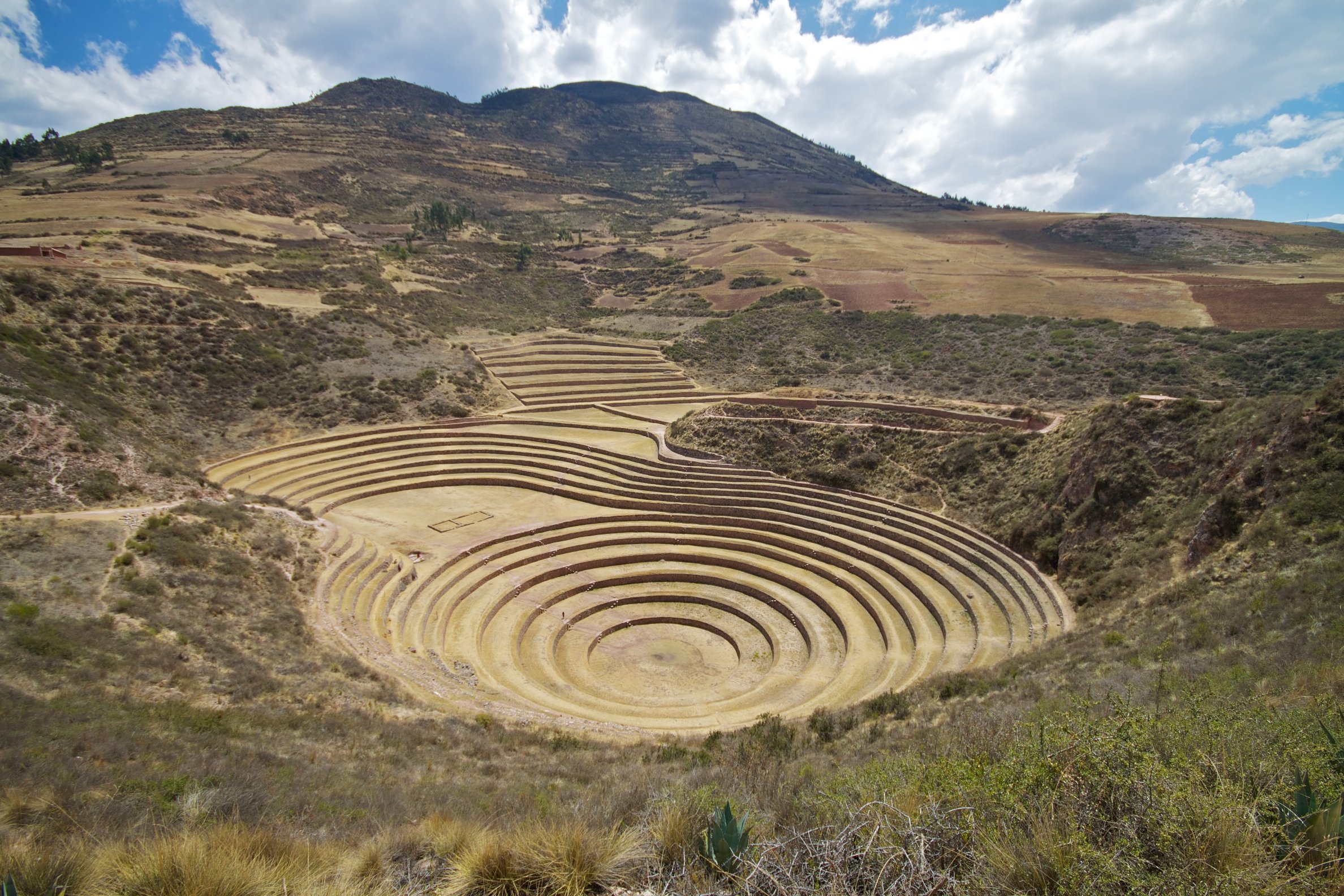 Moray