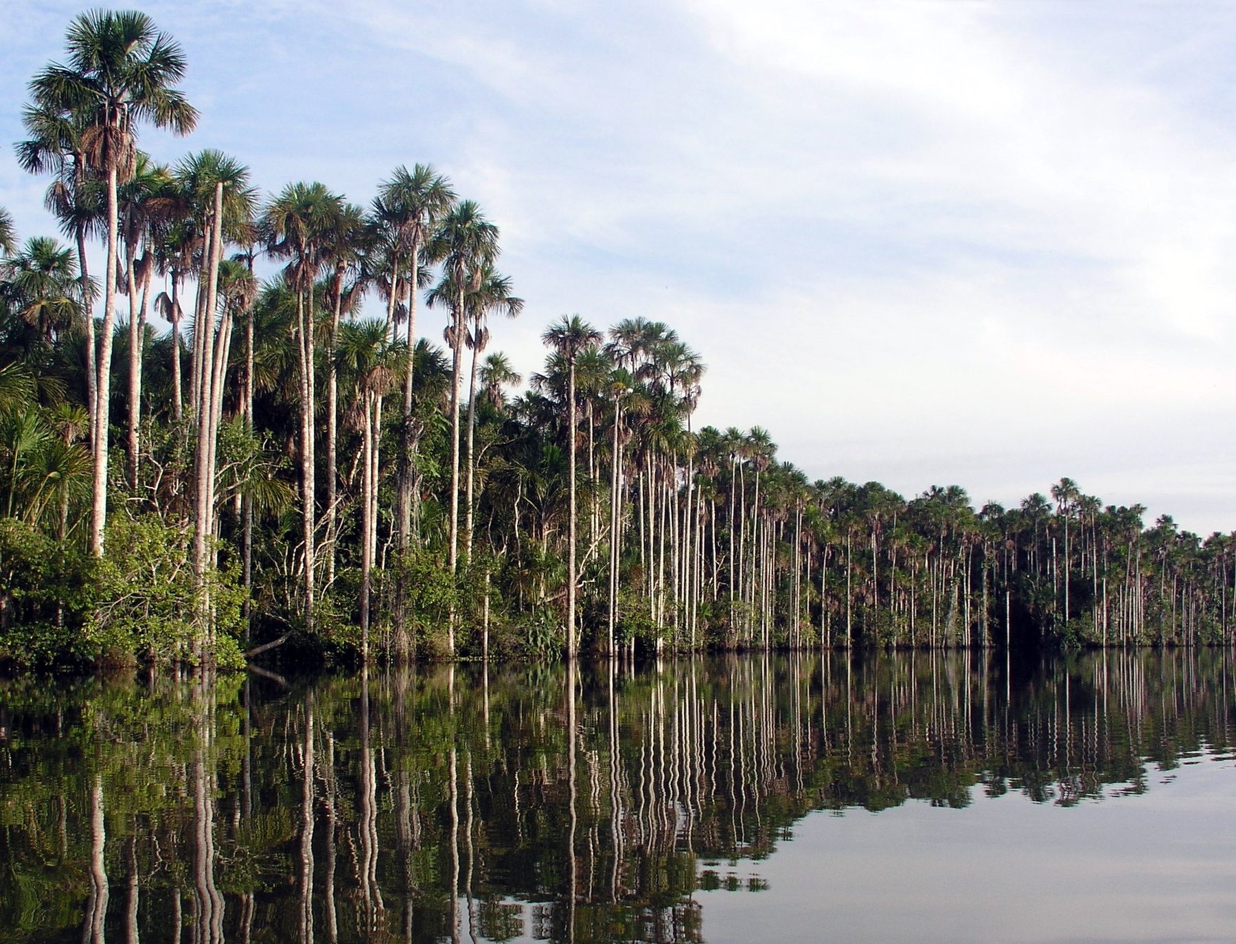 Tambopata